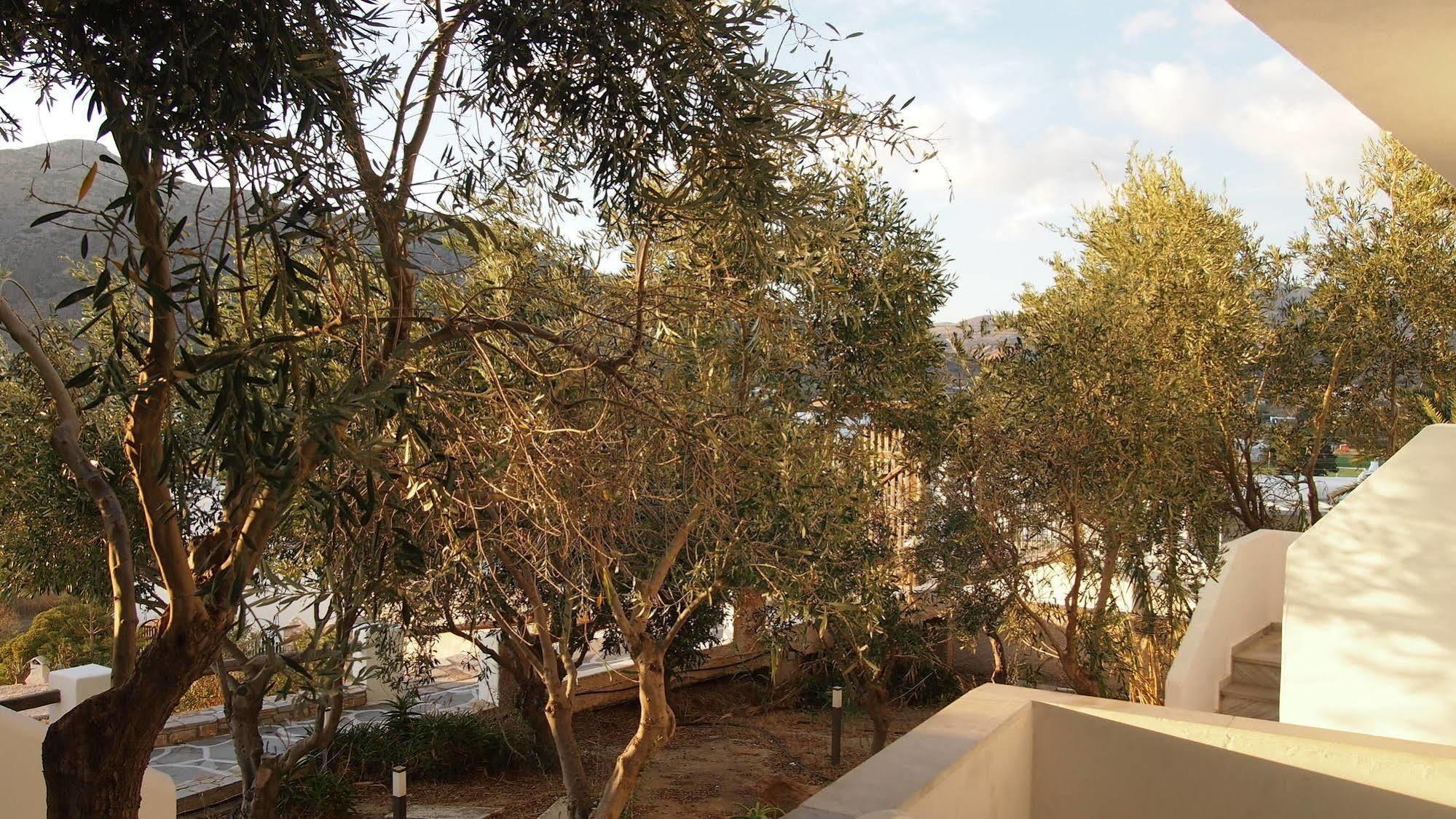 Homer'S Inn Hotel อิออสคอรา ภายนอก รูปภาพ